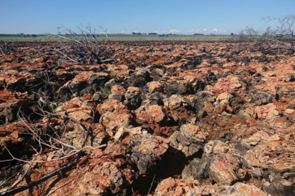 acid-sulfate-soil Acid sulfate soil